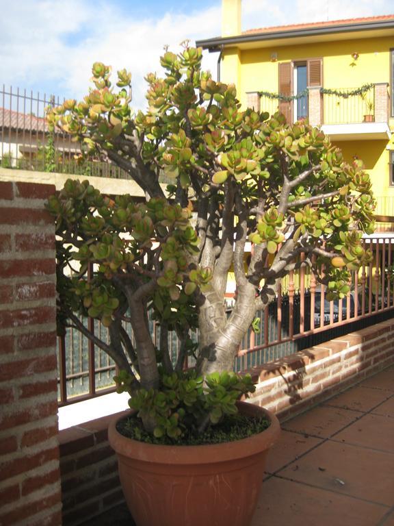 Villa Nina Trecastagni Exterior foto